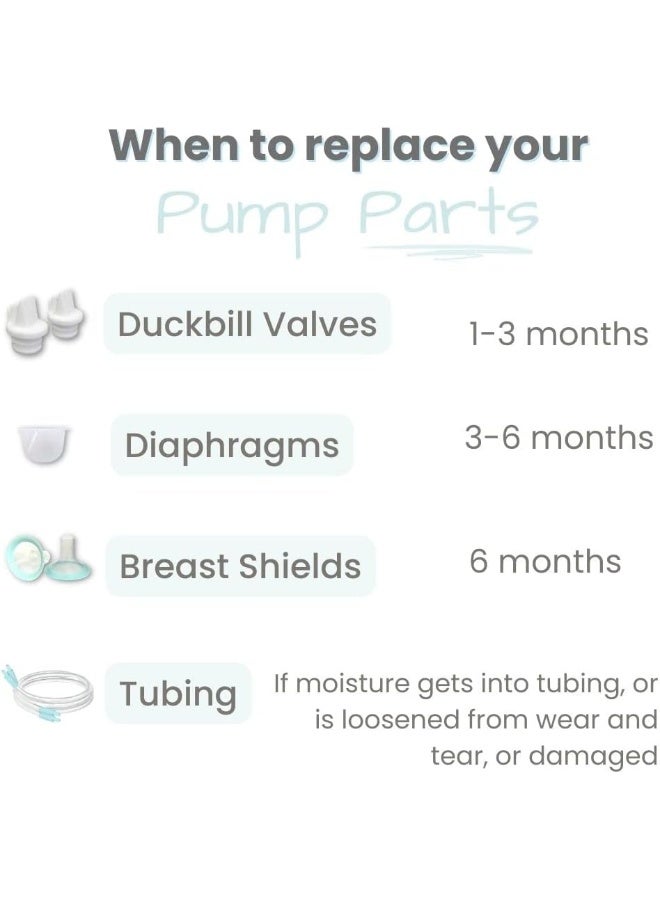 Zomee Breast Shield Kit Replacement Set (Double Pumping Set) Size 24mm - Image 5
