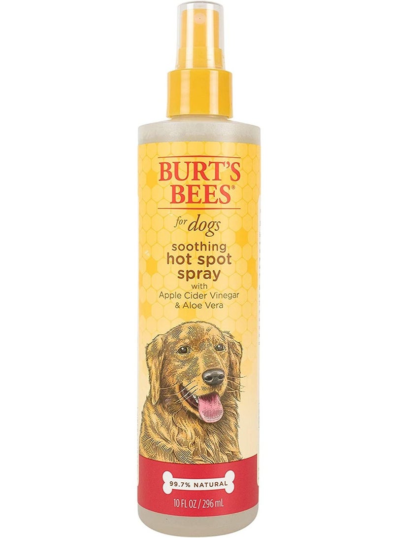 بيرتس بيز Burt's Bees for Dogs Hot Spot Spray for Dogs - Spray for Dog Hot Spots, Dog Grooming Supplies, Apple Cider Vinegar Dog Spray, Dog Hot Spot Treatment, Apple Cider Vinegar Spray for Dogs - Image 1