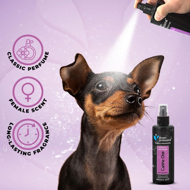 Groom Professional Canine One Pet Cologne 200ml - Sweet Female Fragrance - Image 2
