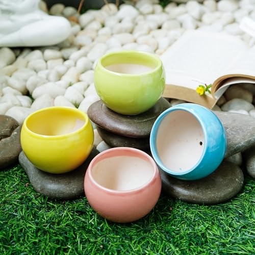 Ekhasa Nostrae by Ekhasa Small Ceramic Pots for Plants Cum Miniature Showpiece (Set of 4) | Pots for Indoor Plants | Succulent Pot Planters | Mini Cute Ceramic Flower Pot (Plant Not Included, Small Size) - Image 3