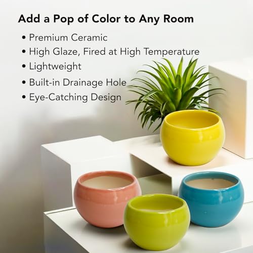 Ekhasa Nostrae by Ekhasa Small Ceramic Pots for Plants Cum Miniature Showpiece (Set of 4) | Pots for Indoor Plants | Succulent Pot Planters | Mini Cute Ceramic Flower Pot (Plant Not Included, Small Size) - Image 4