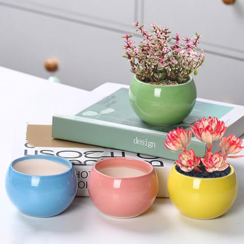 Ekhasa Nostrae by Ekhasa Small Ceramic Pots for Plants Cum Miniature Showpiece (Set of 4) | Pots for Indoor Plants | Succulent Pot Planters | Mini Cute Ceramic Flower Pot (Plant Not Included, Small Size) - Image 1