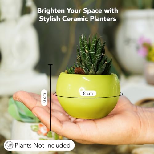 Ekhasa Nostrae by Ekhasa Small Ceramic Pots for Plants Cum Miniature Showpiece (Set of 4) | Pots for Indoor Plants | Succulent Pot Planters | Mini Cute Ceramic Flower Pot (Plant Not Included, Small Size) - Image 2