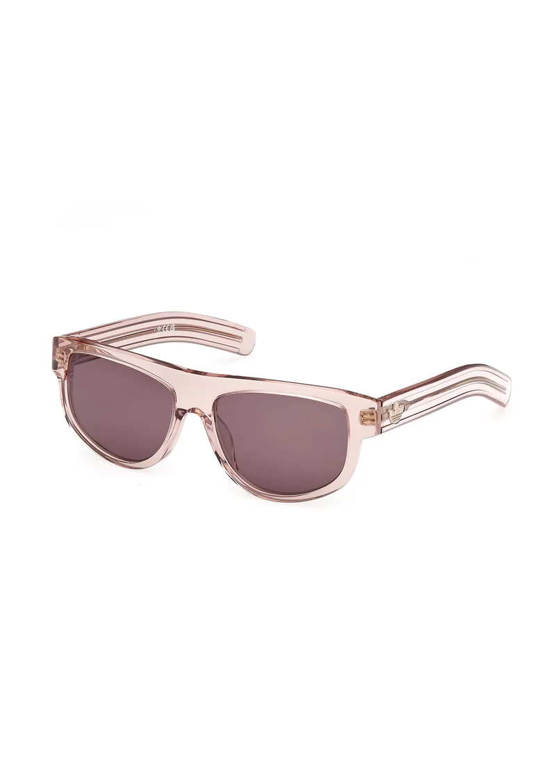 adidas Originals Wayfarers Sunglasses