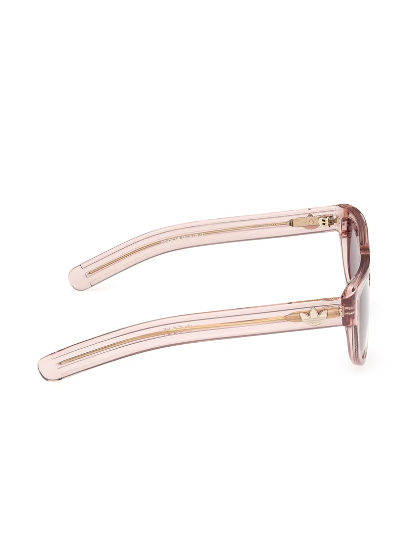 adidas Originals Wayfarers Sunglasses