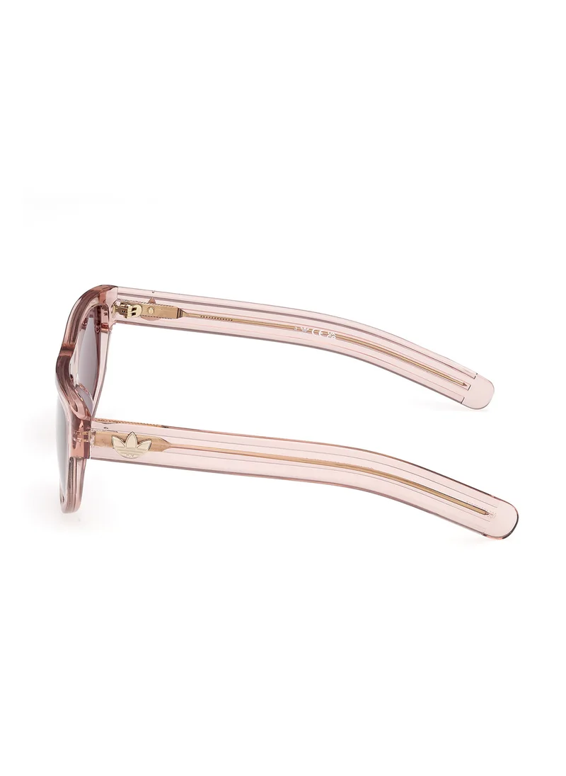 adidas Originals Wayfarers Sunglasses