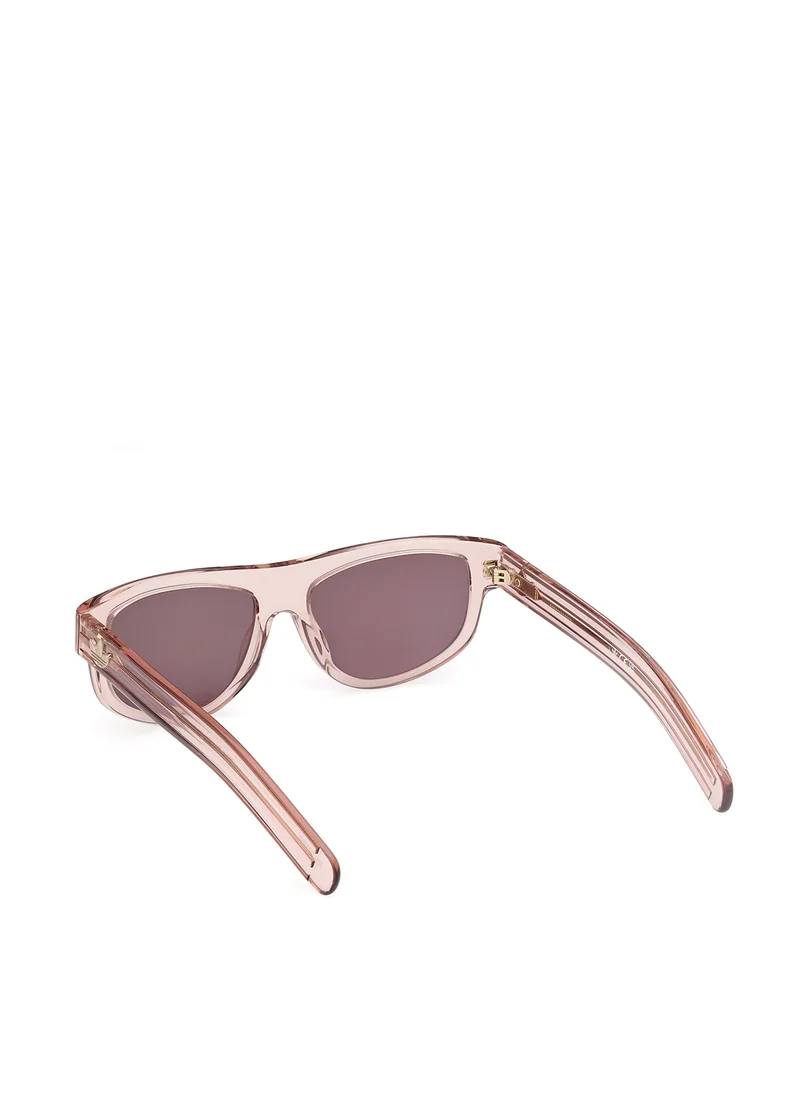 adidas Originals Wayfarers Sunglasses