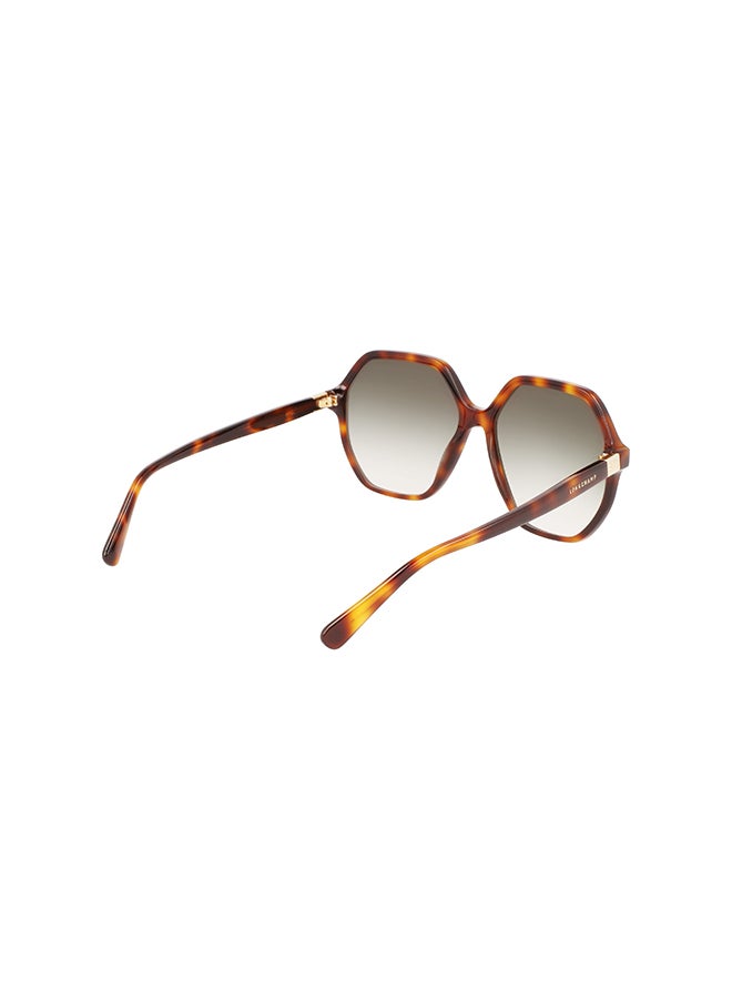 Longchamp نظارة شمسية مستطيلة للحماية من الأشعة فوق البنفسجية للنساء - LO707S-230-5815 - مقاس العدسة: 58 ملم  - Image 5