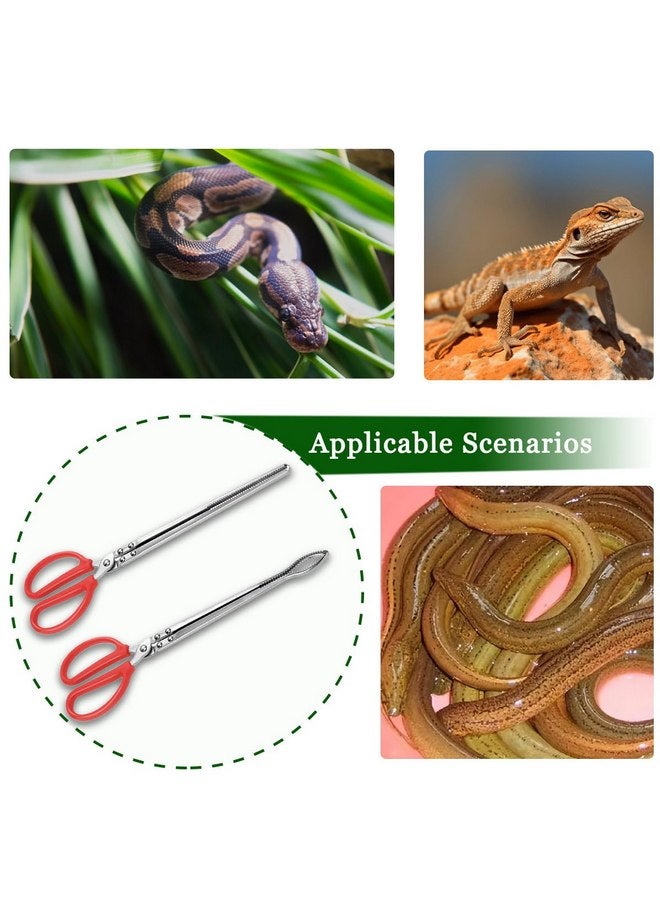 TUICARE TUICARE 2pcs Snake Feeding Tongs, 15 inch Snake Hook Snake Grabber Tool Snake Stick Reptile Tongs for Bearded Dragon Snake Reptile Gecko Tank Accessories Terrarium Supplies - Image 3
