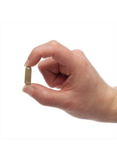 Native Remedies AllergiClear for Relief during Allergy Season (90 Tablets)  - Image 3