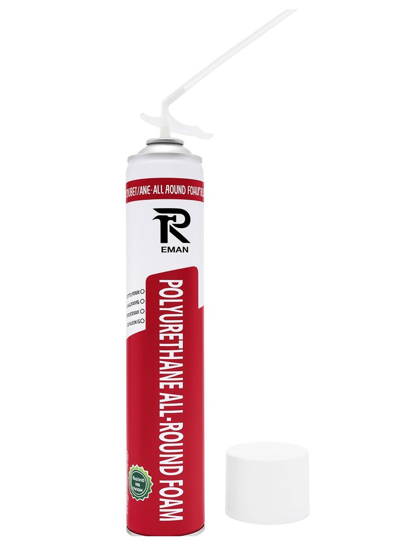 Eman Polyurethane PU Foam Spray Multi Purpose Insulation Gap Filler Sealant for Doors Windows and Construction 750ml - Image 1