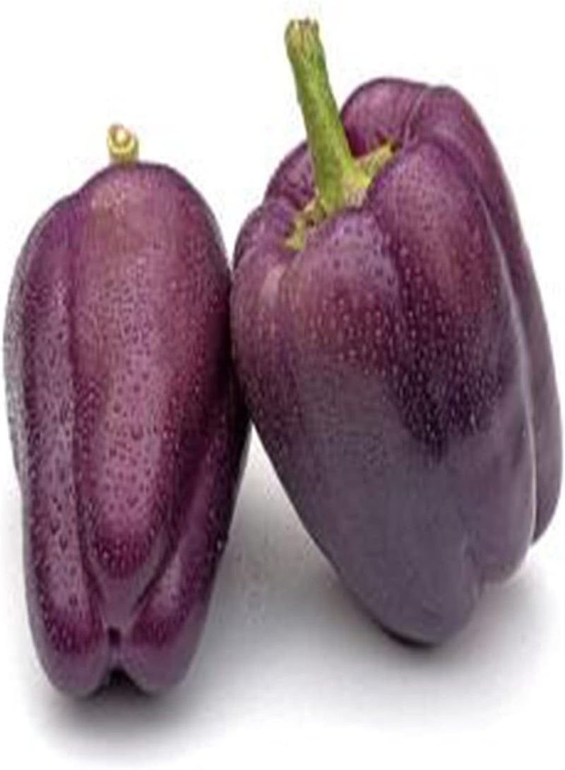 GGOOT Vegetable Seed Varieties - 100Pcs/Bag Sweet Pepper Seeds Bell Shaped High-Yielding Purple Non GMO Vegetable Seeds for Garden Kids Beginners Gardeners Gift -1# - Image 2