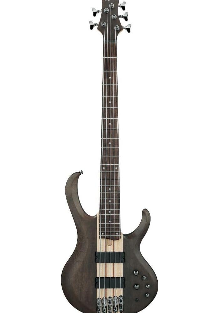 ايبانيز غيتار باس إيبانيز BTB605 القياسي ذو 5 أوتار مع لوحة أصابع من خشب الورد باللون الرمادي الشفاف - Image 1