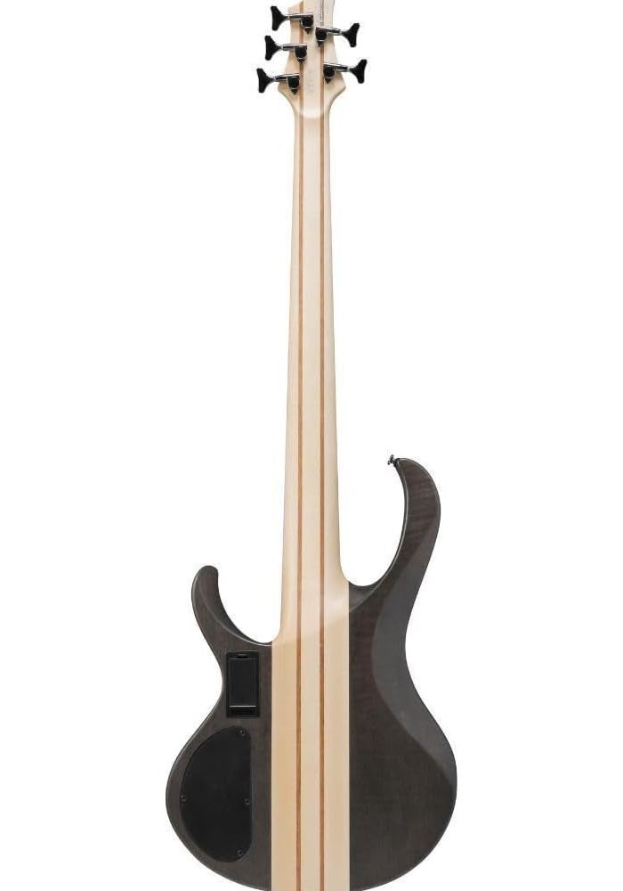 ايبانيز غيتار باس إيبانيز BTB605 القياسي ذو 5 أوتار مع لوحة أصابع من خشب الورد باللون الرمادي الشفاف - Image 2