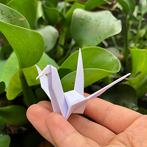 Lotus Mann 100PCS 5.9" Premade White Origami Cranes for Wedding Party Favor Table Centerpieces Decorations DIY Crane Bird Garlands Birthday Baby Shower Party Supplies - Image 4