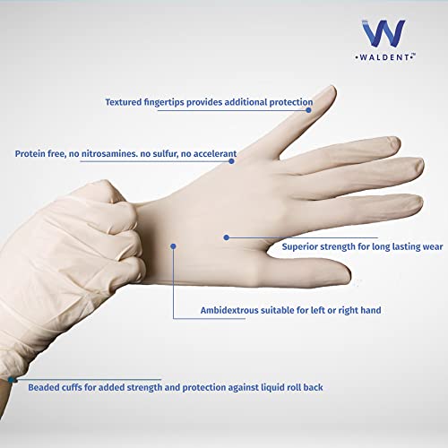 WALDENT Latex Premium Examination Gloves (80 pieces) Latex Disposable Gloves Medical Grade, Surgical Hand Gloves, | (Medium) | Ideal for General and Healthcare Use - Pack of 1 - Image 3