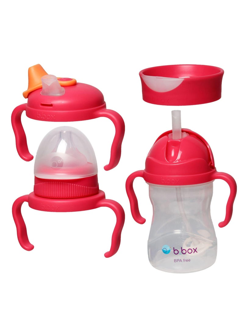 b.box bbox 4 Lids in 1 Cup for Baby Feeding  240 ML Spill Proof Toddler Training Bottle  Transition Sippy Cup with BPA Free Premium Silicone Plastic Dishwasher Safe Raspberry 
