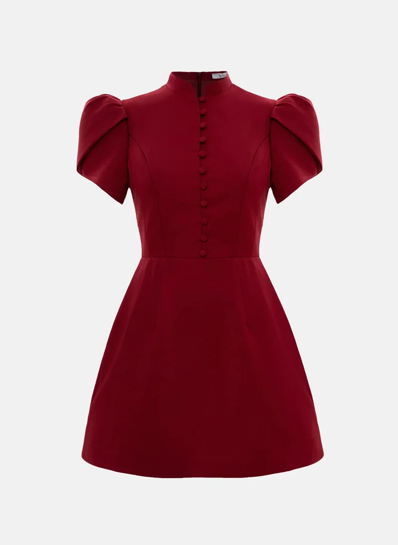 Lichi Mini dress with high collar and button fastening