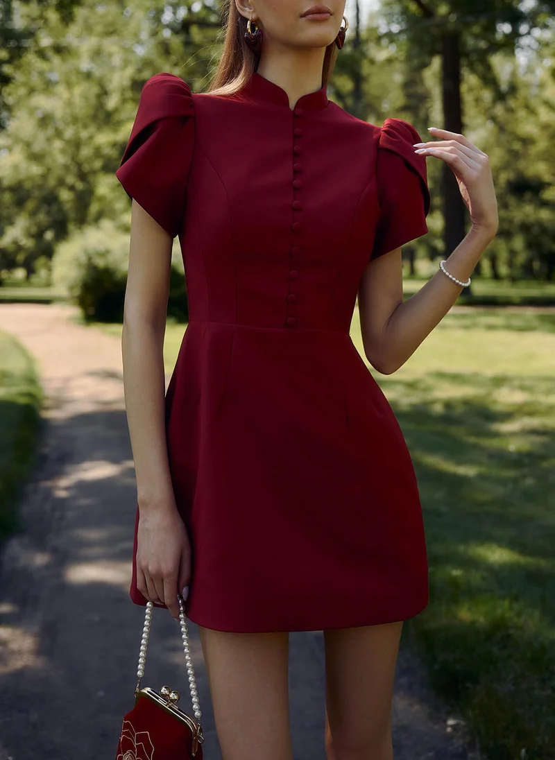 Lichi Mini dress with high collar and button fastening