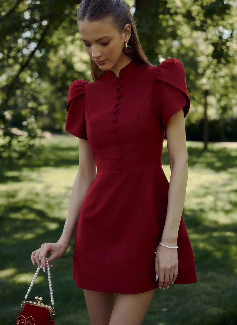 Lichi Mini dress with high collar and button fastening