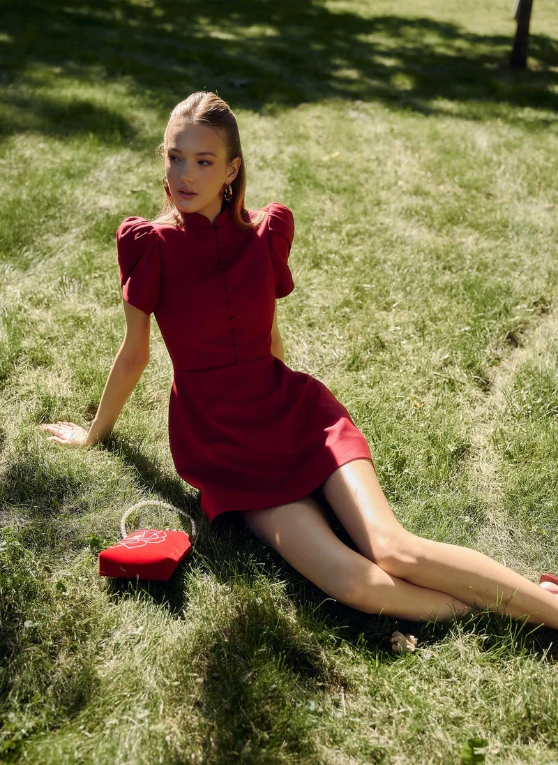 Lichi Mini dress with high collar and button fastening