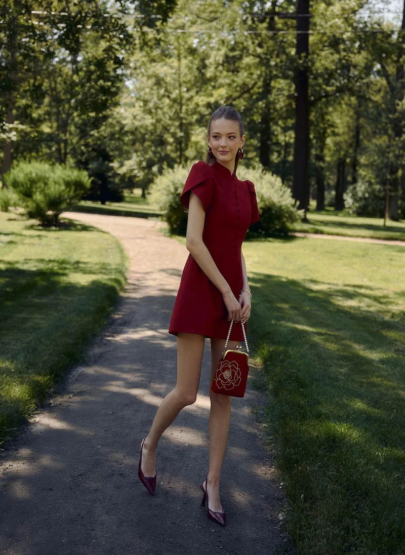 Lichi Mini dress with high collar and button fastening
