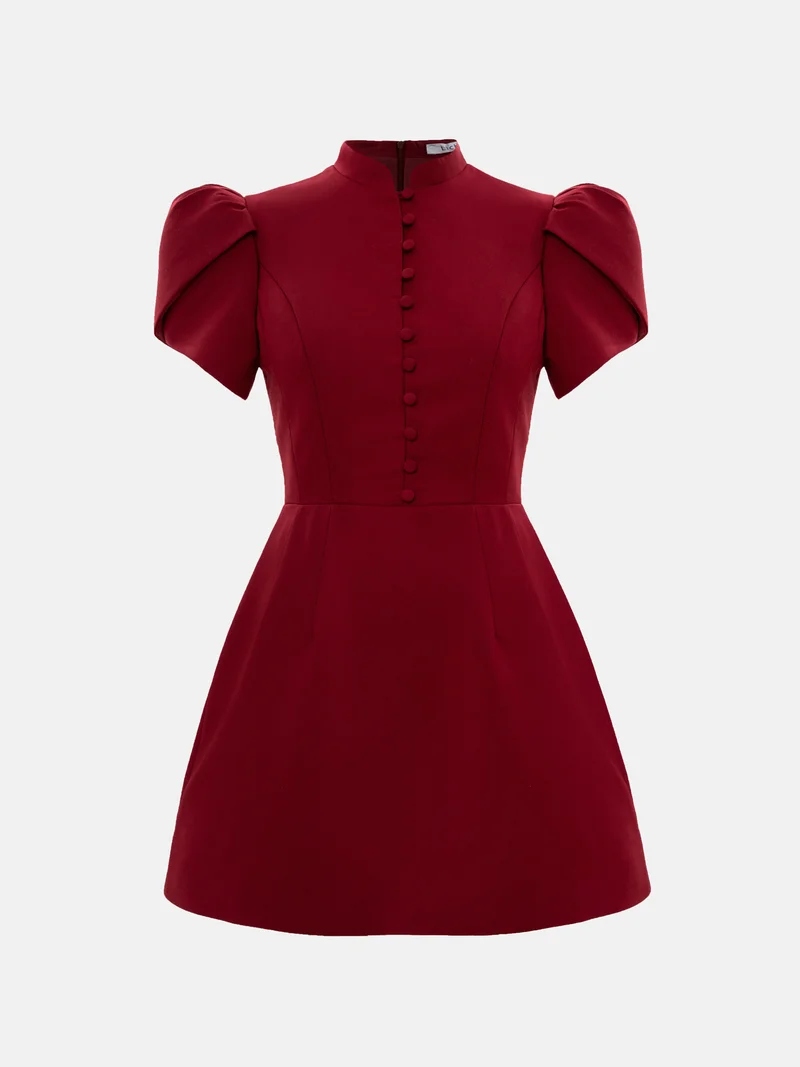 Lichi Mini dress with high collar and button fastening