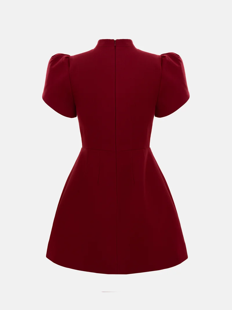 Lichi Mini dress with high collar and button fastening