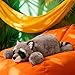 ARELUX Soft 22in Raccoon Stuffed Animals Raccoon Plush Cute Cuddly Body Pillow Hug Sleeping Fluffy Wild Animal Toys Bed Decor Plushie Doll Friends Family Member - Image 4