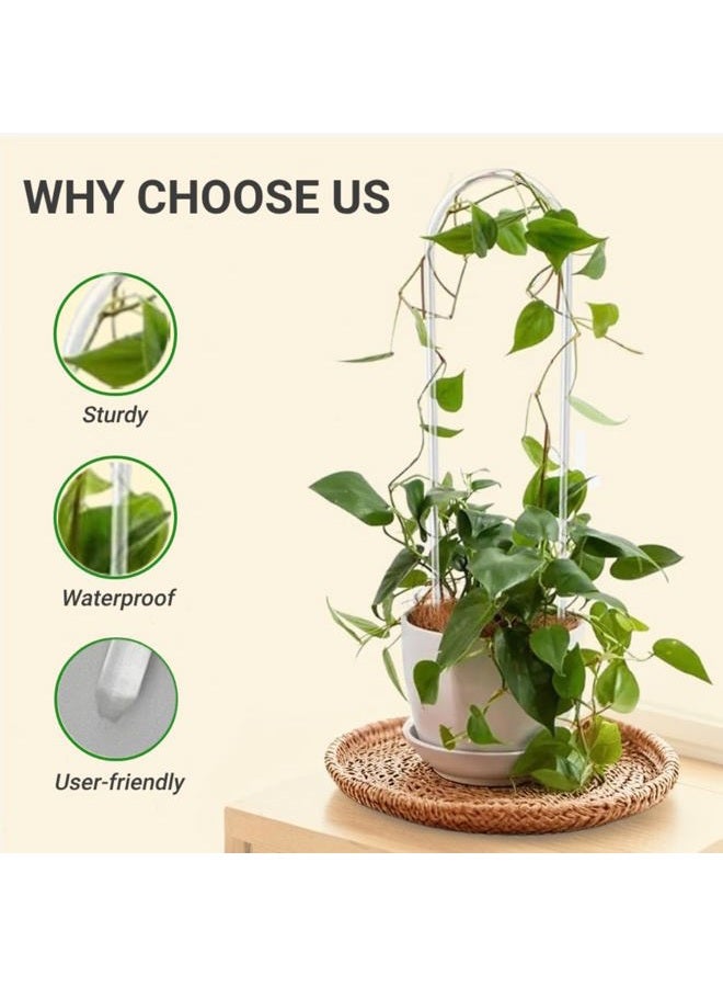 CHOUYUHE 2 Pack U-Shaped Clear Acrylic Plant Supports - 14 inches Indoor/Outdoor Climbing Vine Trellis for Potted Plants, Ideal for Ivy & Tropical Houseplants,Plant Support Hoya Trellis - Image 3