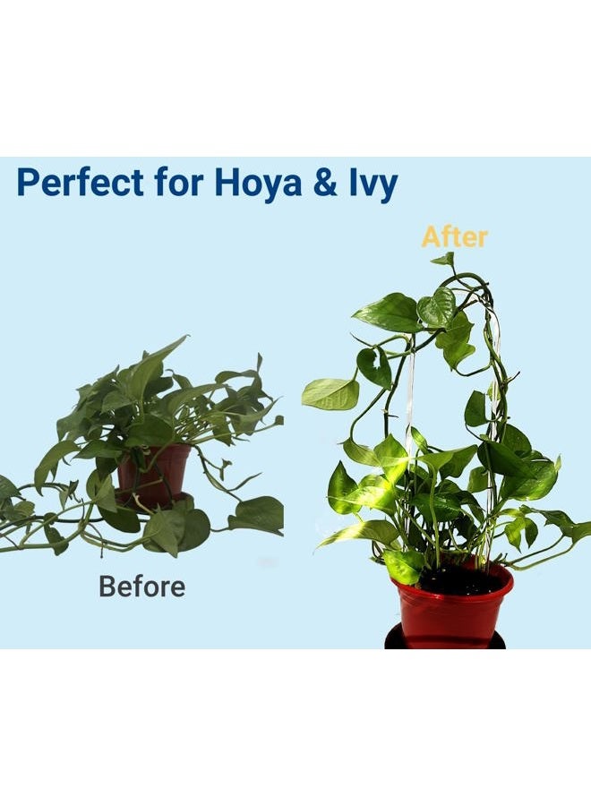 CHOUYUHE 2 Pack U-Shaped Clear Acrylic Plant Supports - 14 inches Indoor/Outdoor Climbing Vine Trellis for Potted Plants, Ideal for Ivy & Tropical Houseplants,Plant Support Hoya Trellis - Image 4