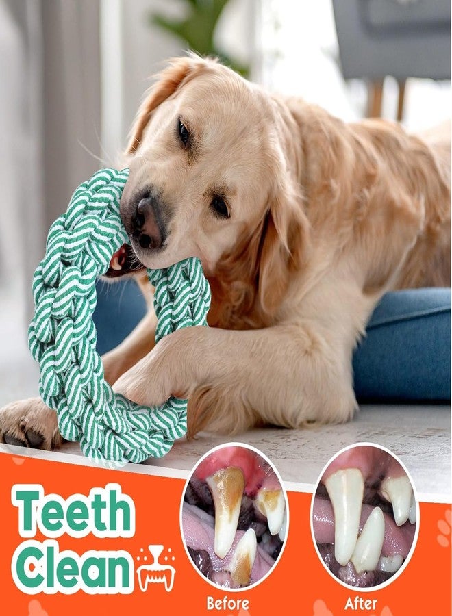 PETZLUV Dog Toys for Aggressive Chewers Large Medium Breed, Small Puppy Teething Chew Toys, Squawking Chicken Rubber Squeeze Squeaky Dog Toys - Multicolor - Image 5