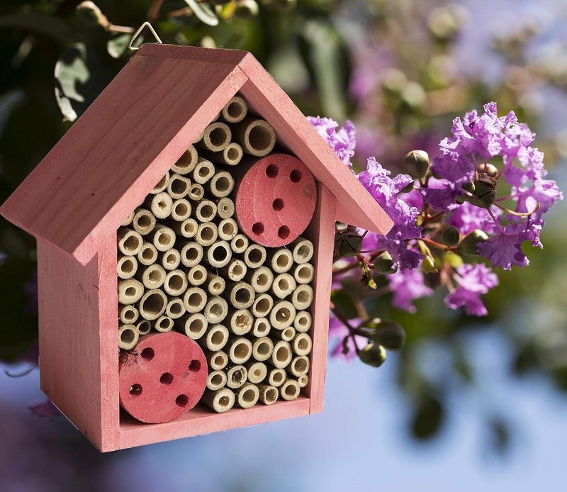 Cestari Mason Bee House Bamboo Tube Solitary Bee Hotel – 75 FSC‑Wood & Bamboo Tubes, 8 × 7.5 × 5 in, Rose Pink - Image 1
