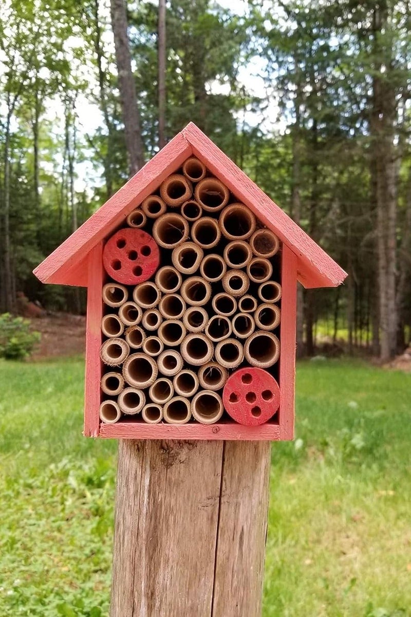Cestari Mason Bee House Bamboo Tube Solitary Bee Hotel – 75 FSC‑Wood & Bamboo Tubes, 8 × 7.5 × 5 in, Rose Pink - Image 2