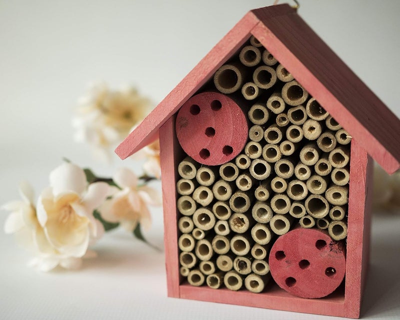 Cestari Mason Bee House Bamboo Tube Solitary Bee Hotel – 75 FSC‑Wood & Bamboo Tubes, 8 × 7.5 × 5 in, Rose Pink - Image 5
