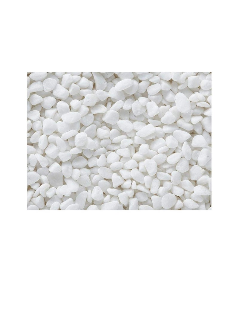 Decorative Stone Small Pebbles Decorative River Rock Stones - Natural White Color Stones Use in Glassware, Like Vases, Aquariums and Terrariums to Enhance the Appearance  (Pack of 5 KG) - Image 1