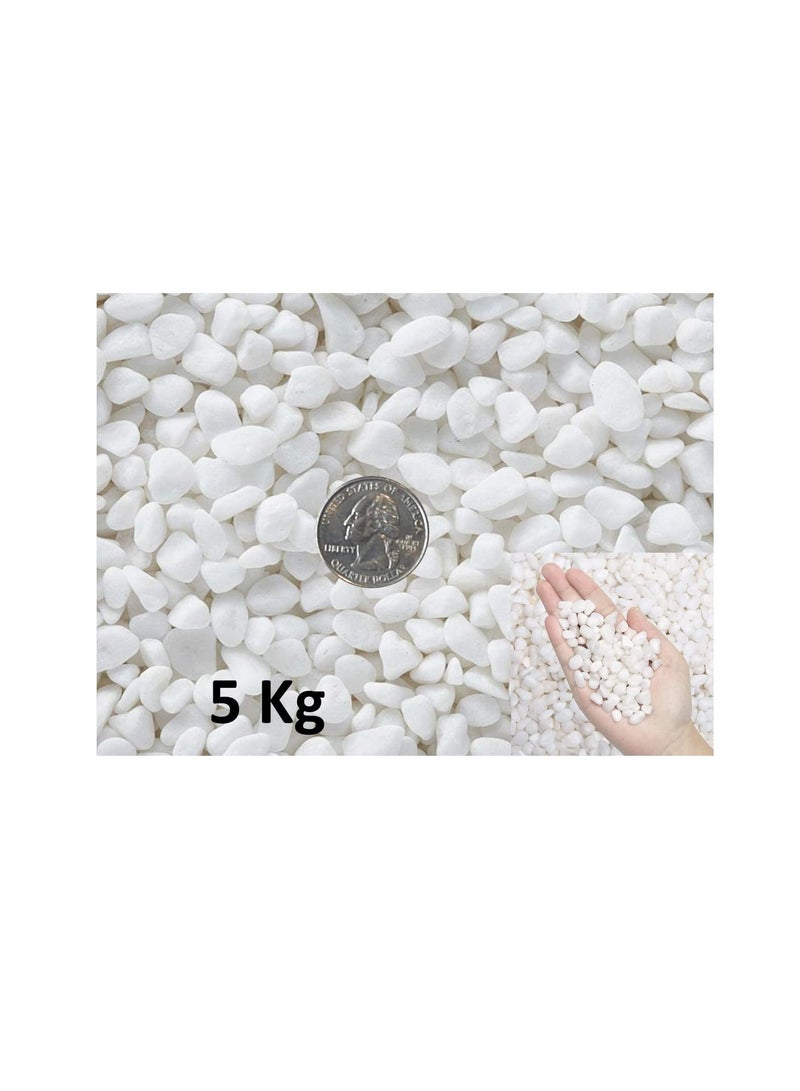 Decorative Stone Small Pebbles Decorative River Rock Stones - Natural White Color Stones Use in Glassware, Like Vases, Aquariums and Terrariums to Enhance the Appearance  (Pack of 5 KG) - Image 2