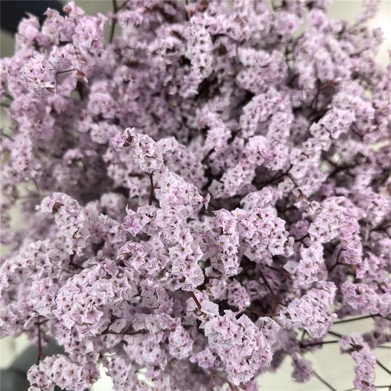 Bluejw AX-18 Dried Eternal Flowers Bouquet – Colorful Natural Preserved Crystal Grass for Home Decor & Wedding Arrangements, Long-Lasting Dried Plants - Image 4