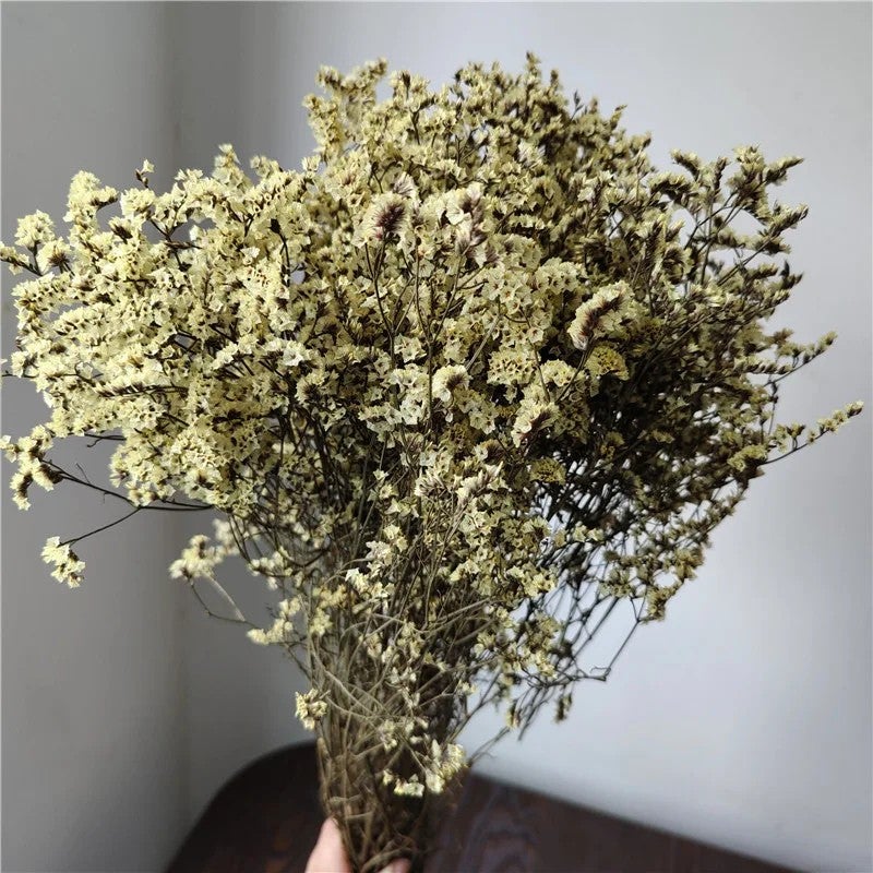 Bluejw AX-18 Dried Eternal Flowers Bouquet – Colorful Natural Preserved Crystal Grass for Home Decor & Wedding Arrangements, Long-Lasting Dried Plants - Image 5