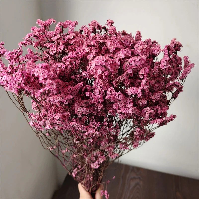 Bluejw AX-18 Dried Eternal Flowers Bouquet – Colorful Natural Preserved Crystal Grass for Home Decor & Wedding Arrangements, Long-Lasting Dried Plants - Image 3