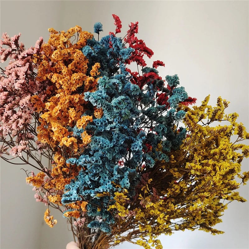 Bluejw AX-18 Dried Eternal Flowers Bouquet – Colorful Natural Preserved Crystal Grass for Home Decor & Wedding Arrangements, Long-Lasting Dried Plants - Image 2
