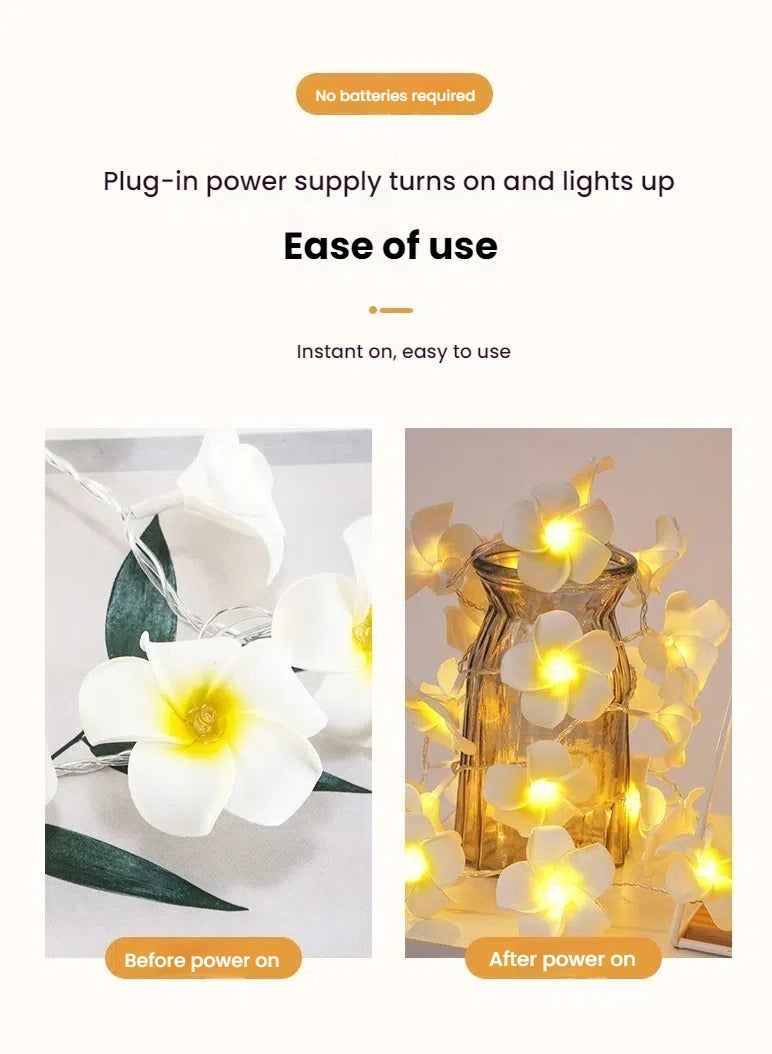 3m led egg flower lights string ins room arrangement decoration lights battery box string lights wedding outdoor festival colorful lights 3m - Image 4