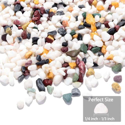 Boniosz 2LB Succulent and Cactus Gravel Pebbles 14 Inch 13 Inch Natural Decorative Polished Stones River Rocks for Plants Aquariums Vases Terrarium and Outdoor Gardening 5 Mixed Colors - Image 3