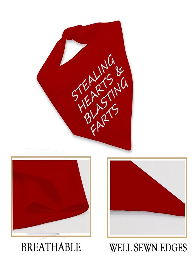 JXGZSO 1 Piece Free Kisses/Will You Be My V/Stealing Hearts Dog Bandana(Hearts & Blasting Farts D) - Image 4