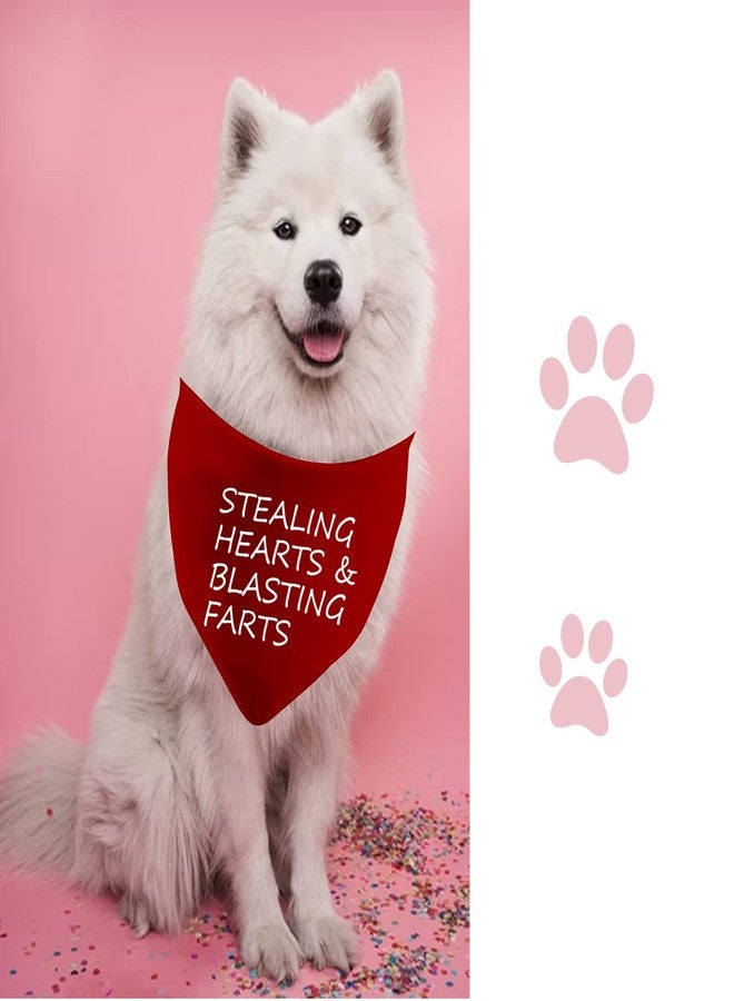 JXGZSO 1 Piece Free Kisses/Will You Be My V/Stealing Hearts Dog Bandana(Hearts & Blasting Farts D) - Image 5