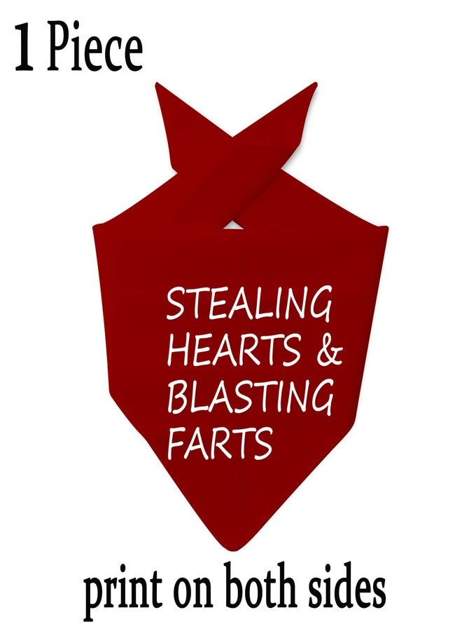 JXGZSO 1 Piece Free Kisses/Will You Be My V/Stealing Hearts Dog Bandana(Hearts & Blasting Farts D) - Image 2