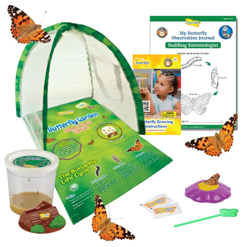 Insect Lore Butterfly Garden Home School Kit with 5 Caterpillars - Ultra-Clear Observation Dome, Fold-Out Life Cycle Panel and STEM Butterfly Journal - Raise and Release Painted Lady Butterflies