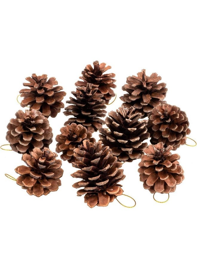 Ascension Natural Pine Cone Wooden Cones Hanging Pinecone for Christmas (Brown) Pack of 12 - Image 2