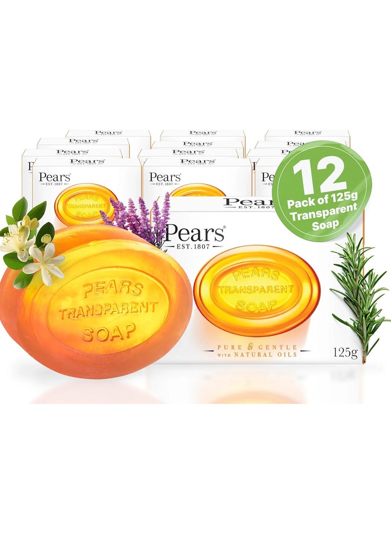 بيرز بيور آند جنتل – صابون شفاف نقي ولطيف، 12 قطعة × 125 جم - Image 1