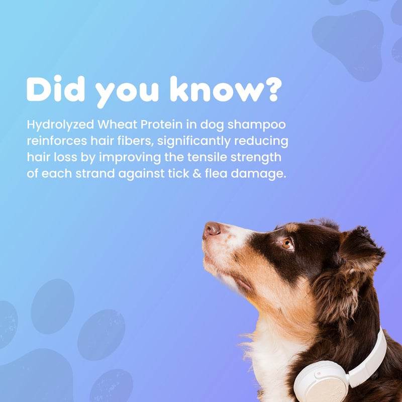 Pil Tick & Flea Ultra Medicated Dog Shampoo with Hydrolyzed Wheat Protein | Kills Ticks & Fleas | Prevents Skin Infections | Soothes and Deodorizes Skin Coat (200ml) - Image 2